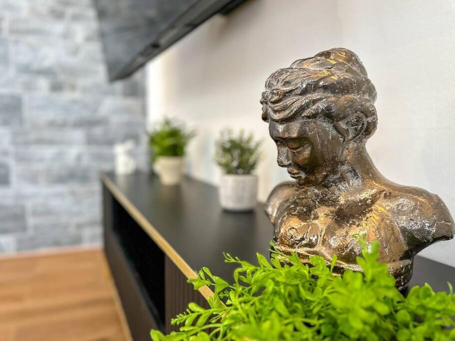 Penthouse Gran-via Luxury Private Flat - 2bd Madryt